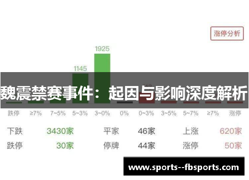 魏震禁赛事件：起因与影响深度解析